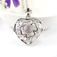 thumbnail image 1 of Amante Locket Cadena Amor San Valentín Collar Colgante Difusor de Aceite DIY - Plata Fernando Collar de medallón de corazón, 1 of 7