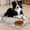 Brown, variant on Dog Food Mats for Floors Absorbent, Pet Cat Food Mat - Non Slip Dog Bowl Mats for Food and Water Pet Supplies 12" x 20"