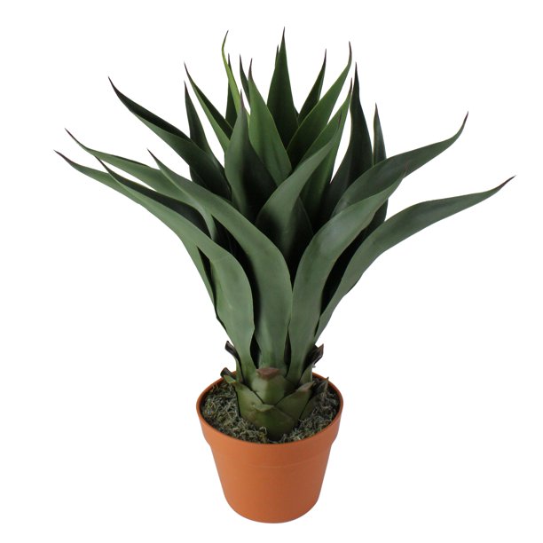 23.5" Potted Green Agave Americana Artificial Succulent Plant Walmart