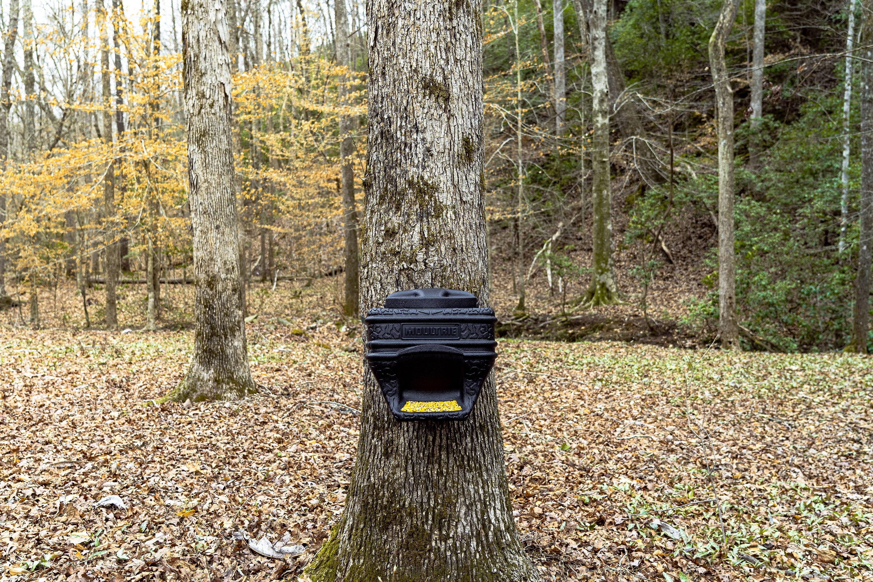 (3 pack) Moultrie Feed Bin Deer Feeder