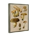 thumbnail image 4 of Stupell Industries Vintage Mushroom Drawings Botanical & Floral Painting Gray Floater Framed Canvas Art Print Wall Art, 25 x 31, 4 of 10