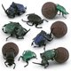 thumbnail image 1 of Juego de figuras con forma de escarabajo pelotero, PVC, 8 piezas, juguete educativo para niños, 1 of 2