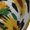 2 Black-2, variant on Cute Cow Print Sunflower A Pattern Quarter Crew Socks,Toe Seamed Ankle Socks,Cotton Cushioned Breathable Athletic Crew Sports Socks