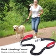 thumbnail image 2 of VIVAGLORY Dog Leash Pullsafe Bungee Dog Leash with 2 Padded Handle & Double Handle for Training & Walking, Bungee Anti Pull for Pet That Pull, 4ft x 1in, Black, 2 of 6