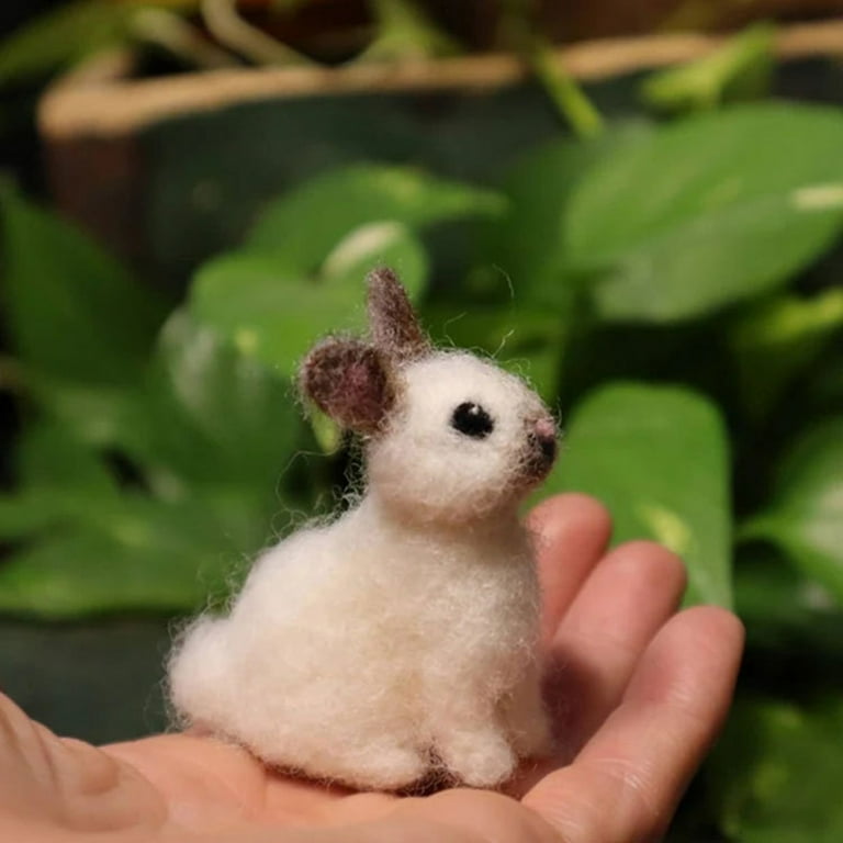 Walmart rabbit supplies cheap