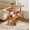 Warm Brown, variant on Fnova End Table Narrow Side Tables Modern Wooden Sofa Table with Storage Shelf, Farmhouse Bedside Table, Easy Assembly, Corner Table, Drink Table for Living Room, Bedroom, Nightstand
