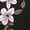 Dark Floral, variant on Madden NYC Women's Dome Backpack with Front Pockets and Removable Pouch, Leopard