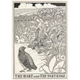 thumbnail image 3 of Percy J. Billinghurst 11x14 Black Modern Framed Museum Art Print Titled - The Hare and the Partridge (1900), 3 of 5