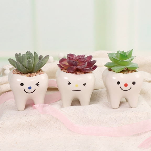 LULULION Tooth Planter Pots Creative Succulent Flowerpot Red 3Pcs