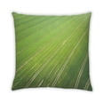 thumbnail image 2 of Ahgly Company Color Focus Green Outdoor Throw Pillow, 18 inch by 18 inch, 2 of 6