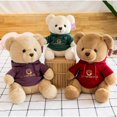 thumbnail image 2 of Nuevo suéter de oso de peluche de juguete de peluche de oso de peluche - HAPDEN, 2 of 4