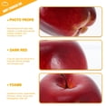 thumbnail image 3 of Hytrove 5Ud Artificiales De Para De Fiesta, 3 of 6