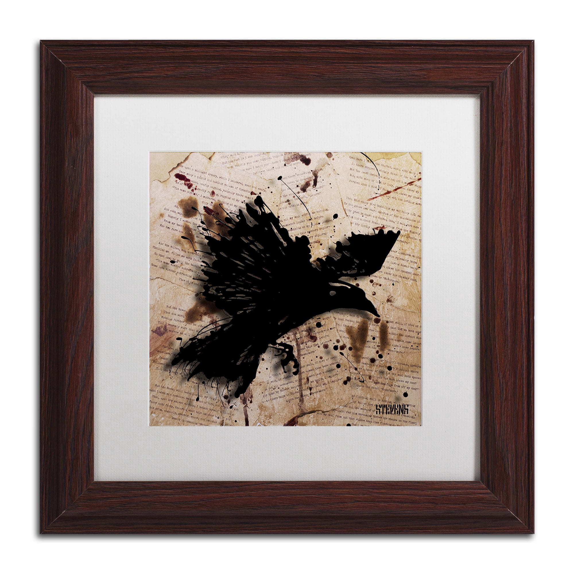 Trademark Fine Art "The Raven 1" Canvas Art by Roderick Stevens, White Matte, Wood Frame