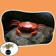 thumbnail image 3 of Juguetes de cangrejo RC Hugo Verde, 3 of 10