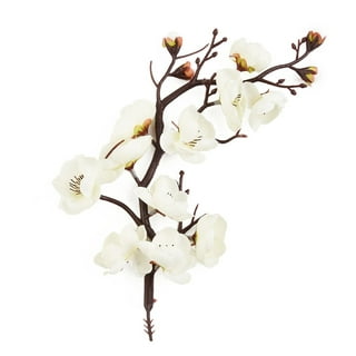 Buy Artificial Cherry Blossom Flower Sticks for Home Decor (Pack of 6, Dark  Pink) Online in India at Best Price - Modern Artificial Flowers - Home  Decor - Furniture - Wooden Street Product