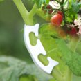 thumbnail image 3 of Nimomo 100PCS Fixing Clips Durable Tomato Plants Vine Seedling Clamp Reinforced Clips Fruit Planting Anti-bending Clips, 3 of 7