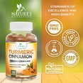 thumbnail image 5 of Turmeric Curcumin Supplement Gummies - 95% Curcuminoids with Turmeric Ginger, Black Pepper for Best Absorption, Nature's Vegan Joint Support, Non-GMO, Gluten Free, Tasty Cinnamon Flavor - 120 Gummies, 5 of 10