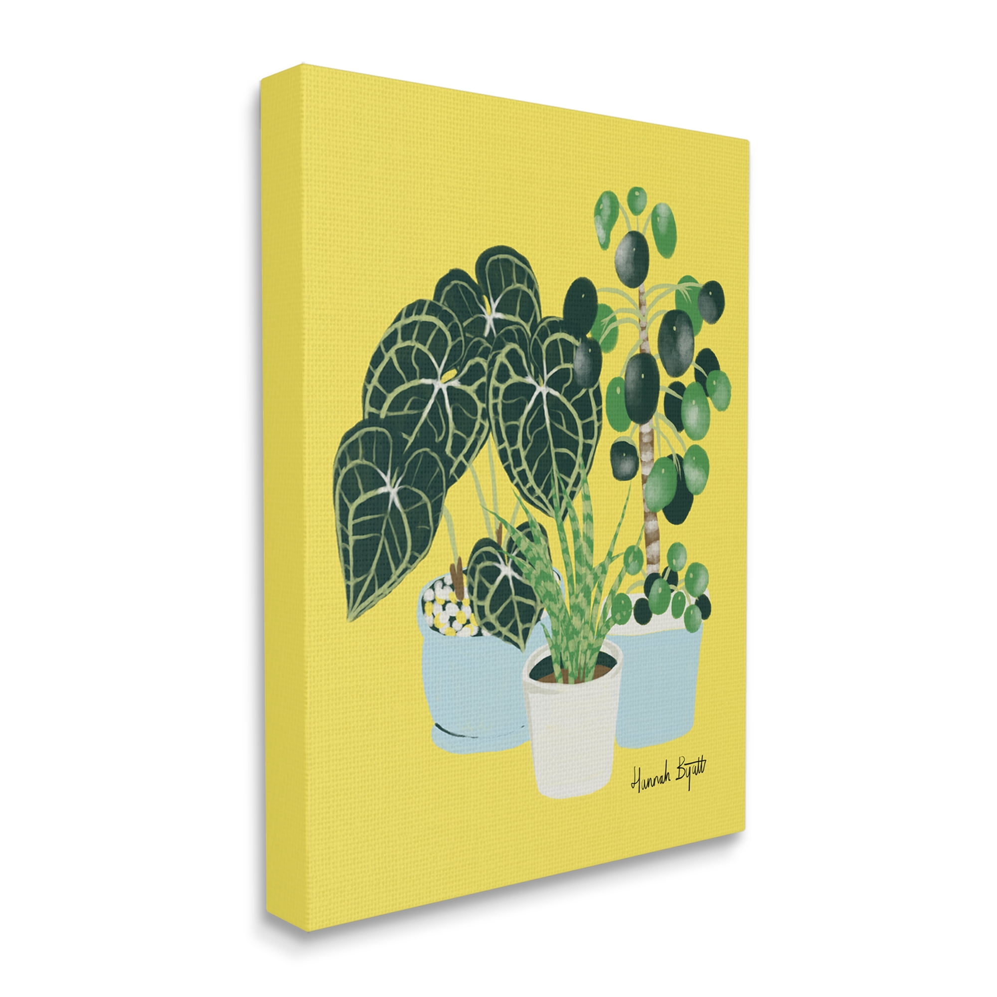 Stupell Industries House Plants on Yellow Botanical & Floral Painting Gallery Wrapped Canvas Print Wall Art, 36 x 48