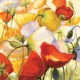 thumbnail image 3 of Novak, Shirley 20x20 Black Modern Framed Museum Art Print Titled - Poppies Up Close, 3 of 5