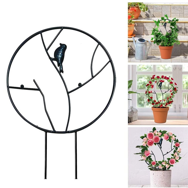 12Inch Trellis for Small Climbing Plants, Metal Bird Plant Supports for Potted Plants Indoor,Circle Trellis for Vines Vegetables Flowers Rose Jasmine Clematis Ivy(1PC)