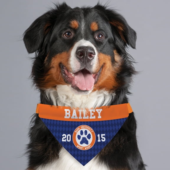 Personalized Bark University Dog Bandana Collar Cover