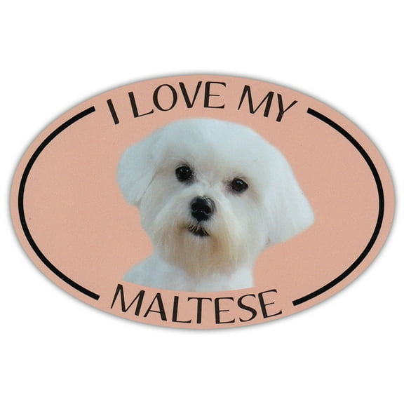Oval Dog Breed Picture Car Magnet - I Love My Maltese - Magnetic Bumper Sticker