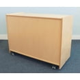 thumbnail image 2 of Whitney Plus CH0284 Tray Storage Cabinet, Green, 2 of 4