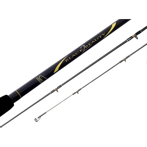 Black Beauty 2 Bigwater Spinning Rod