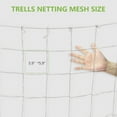 thumbnail image 4 of OUSITAID 1/2pcs Plant Trellis Netting  Polyester Plant Climbing Net  Garden Trellis Netting with Square Mesh Plant Support Mesh for Climbing Plants 5*60ft, 4 of 9