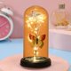 thumbnail image 5 of Rosa Colorida de Regalo, Cúpula de Cristal Iluminada Por Led, Flor Romántica Eterna, Regalo de San Valentín, Regalo de Cumpleaños o Aniversario, Elegante Decoración Del Hogar, Tamaño 22 X 11 Cm, 5 of 7