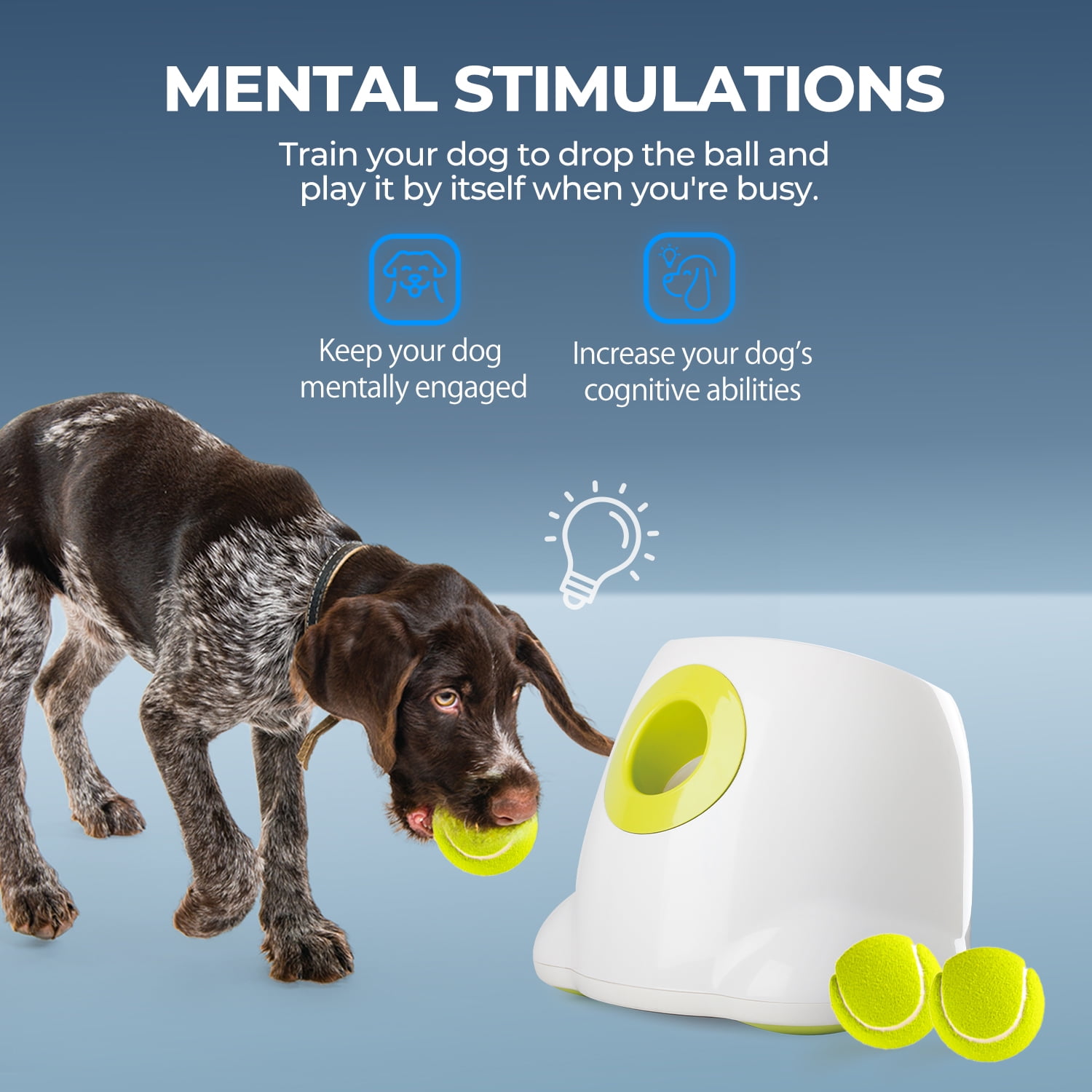 All For Paws Automatic Tennis Ball Launcher for Medium & Large Dogs, 6 Balls Included, Maxi