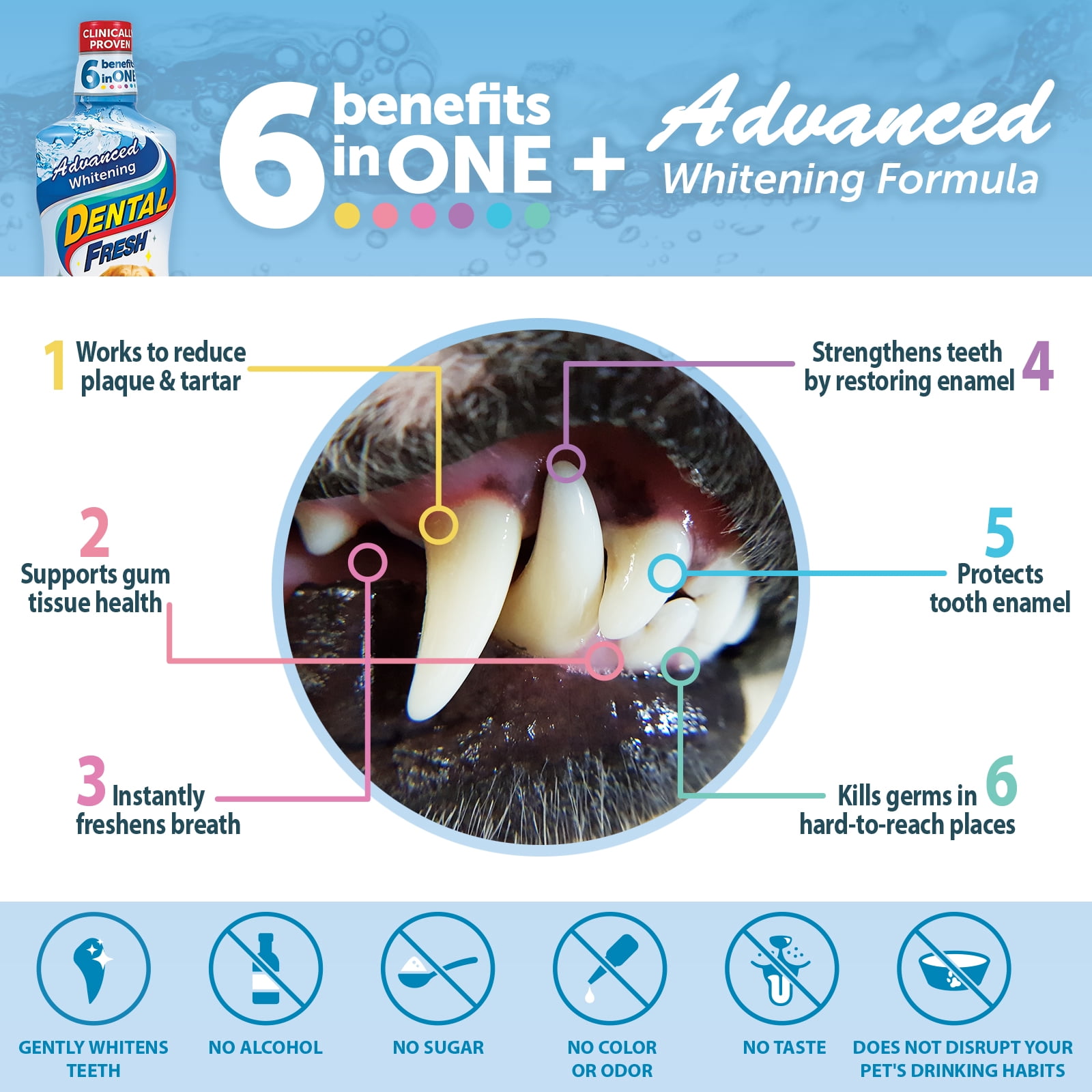 Dental Fresh Advanced Whitening Water Additive for Dogs, 17 oz - Teeth Cleaning & Bad Breath