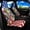 American Flag Frog, variant on Uorisanigo Gothic Bat Car Seat Covers Elastic Fabrics Waterproof Car Seat Cover Easy to Install Auto Interior Accessories 2 Pcs Set for SUV, Vans,Sedan,Truck
