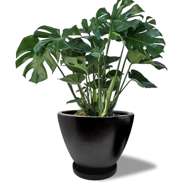 Maceta Ceramica de 25.4 cm con Drenaje y bandeja negro Elly Decor ED-MCD01BK