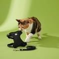 thumbnail image 3 of (3 pack) Vibrant Life Adjustable Cat Harness and Leash Set, Black, One Size, 3 of 10