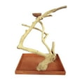 thumbnail image 2 of A&E Cage Company Medium Java Table Top - 22"x14"x22", 2 of 2