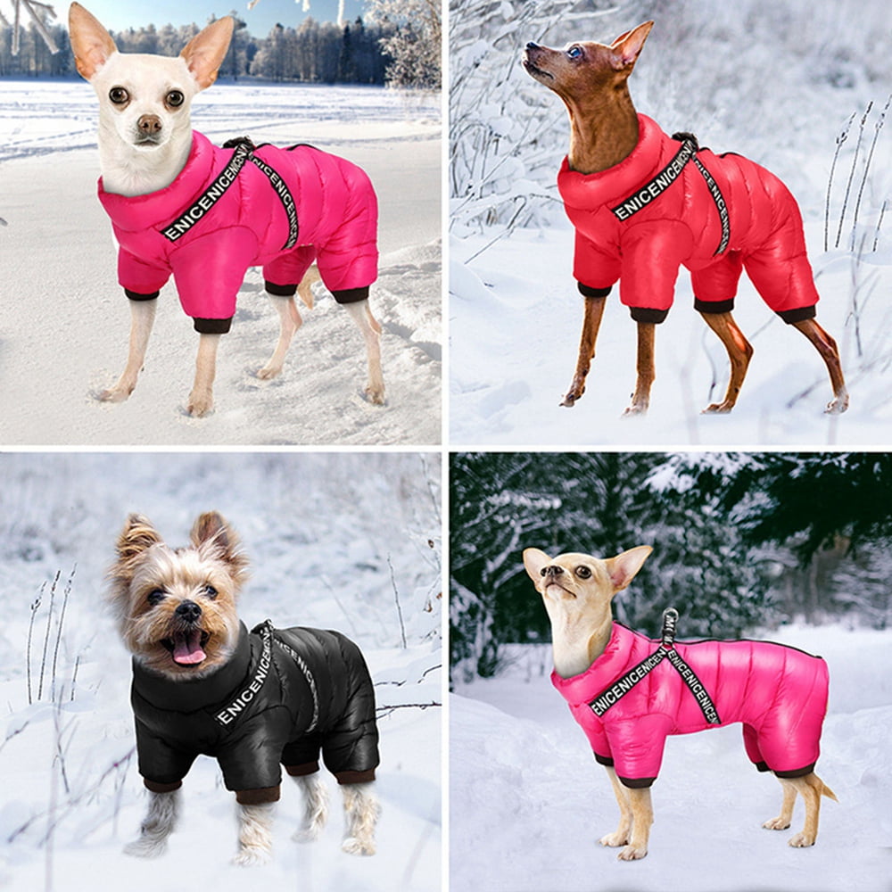 small dog coats with harness