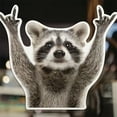 thumbnail image 4 of Lindo Mapache Llavero Anillo Coche Animal Decorativo S Acrílico, 4 of 9