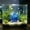 Blue, variant on Realistic Artificial Coral Aquarium Ornament,Safe Plastic Fish Tank Decor Weighted Base Aquascaping Accessory,White