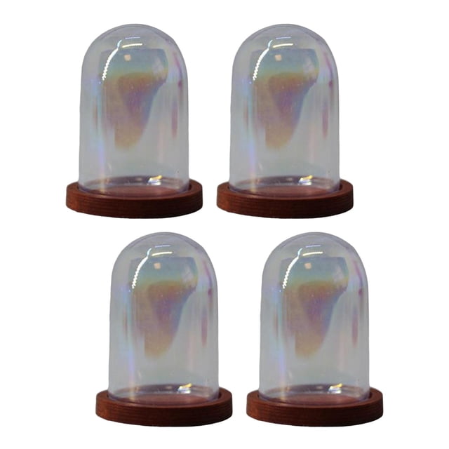 GUOOL Cloche en Verre Transparent Dôme Fleur Support Micro Paysage Miniature Maison DIY Rouge Nacré