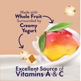 thumbnail image 5 of Welch's Fruit 'N Yogurt Blueberry-Acai. & Mango-Peach Soft Fruit Snacks, .7 oz, 20 Count, 5 of 15