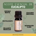 thumbnail image 2 of Aceite Esencial Aromas & Lavanda Eucalipto Fresco Descongestionante 10 ml, 2 of 4