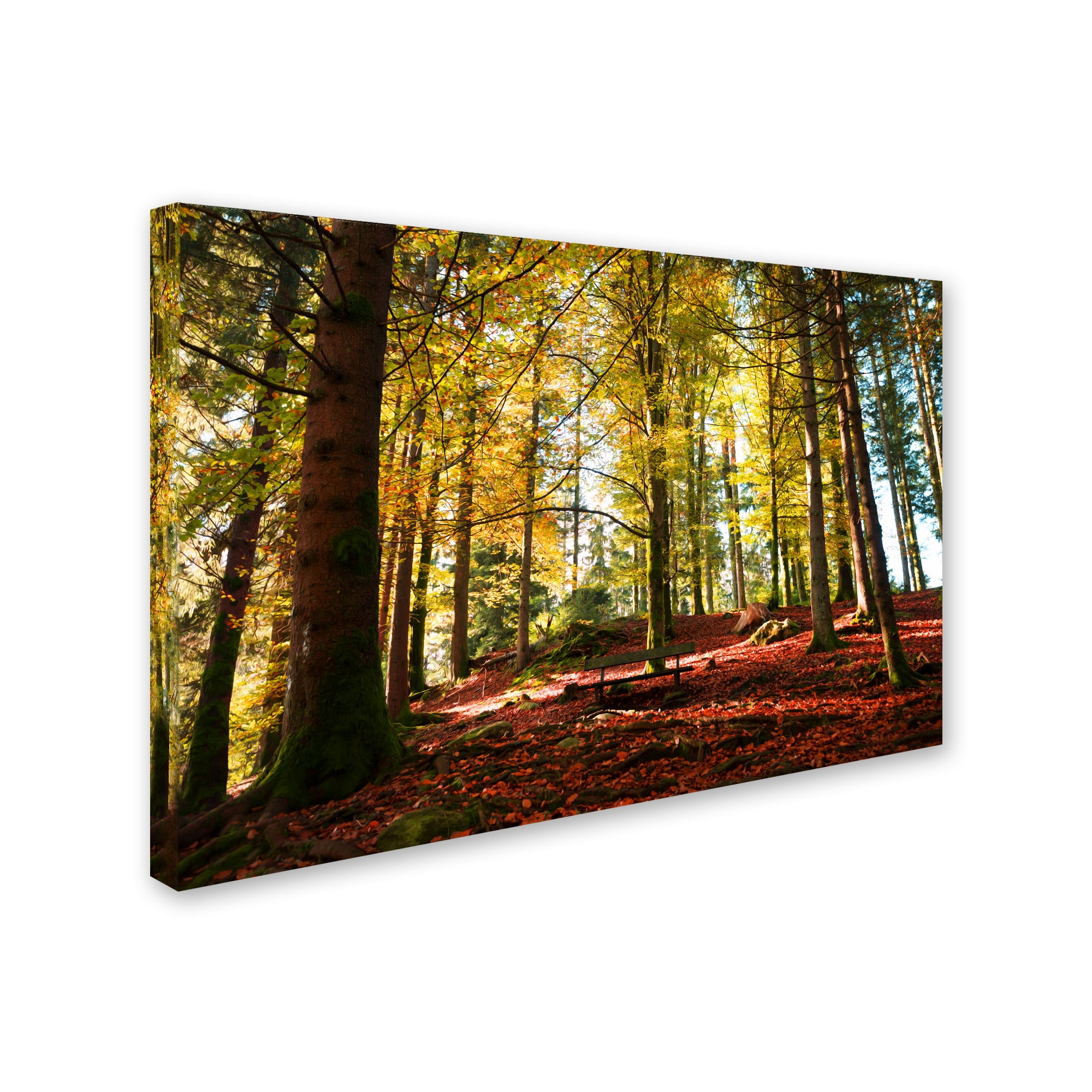 Trademark Fine Art "The Autumn Bench" Canvas Art by Philippe Sainte-Laudy