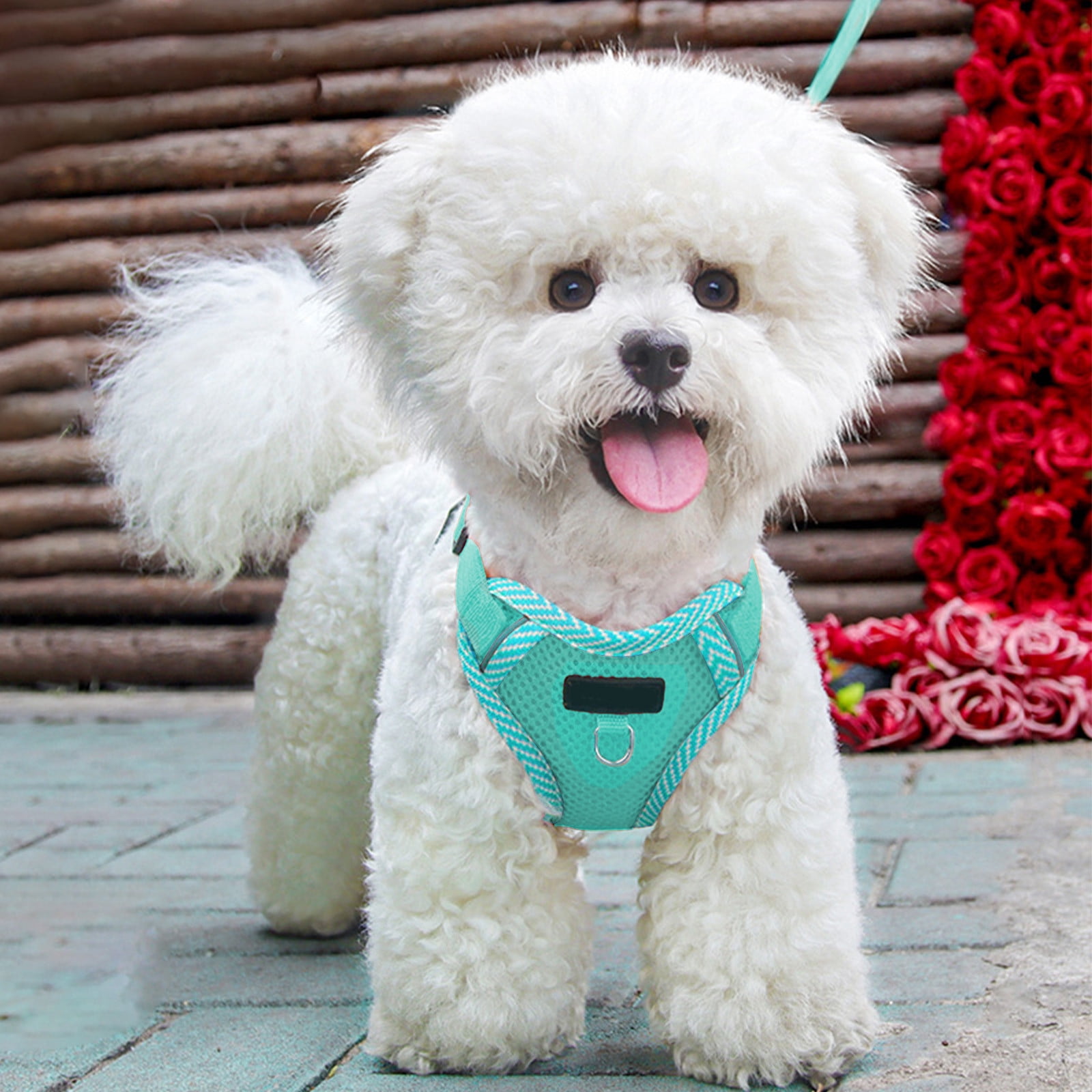 JilgTeok 1 Packs Dog and Cats Harness and Leash Sleeveless Style Pet Reflective Breathable Leash Comfortable Vest Suitable for Outdoor Cats and Dog Walking Travel Escape Proof