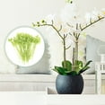 thumbnail image 2 of Shisuyan Cable Ties Green 100Pcs 7.47X1.57X0.04in, 2 of 9