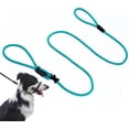thumbnail image 1 of Multifunctional Figure 8 Padded Head Halter Walking Training Leather Stopper Slip Lead Dog Rope Leash (Turquoise), 1 of 8