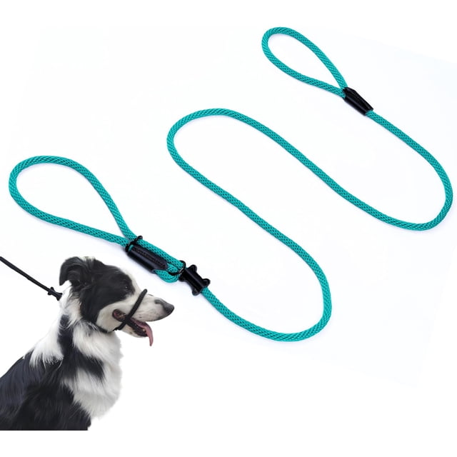 Multifunctional Figure 8 Padded Head Halter Walking Training Leather Stopper Slip Lead Dog Rope Leash (Turquoise)