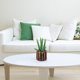 thumbnail image 5 of 2 uds simulación suculentas bonsái adornos creativos flores artificiales decoración interior plantas verdes, 5 of 5
