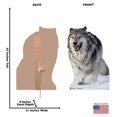 thumbnail image 2 of Advanced Graphics 733 Loup Taille Réelle Stand-Up en Carton, 2 of 4