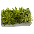 thumbnail image 3 of Nearly Natural 6.5" Succulent Garden Artificial Plant with Concrete Planter, Green, 3 of 16